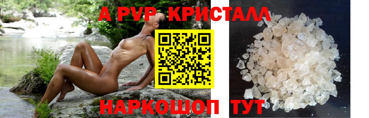 А ПВП СК Куйбышев