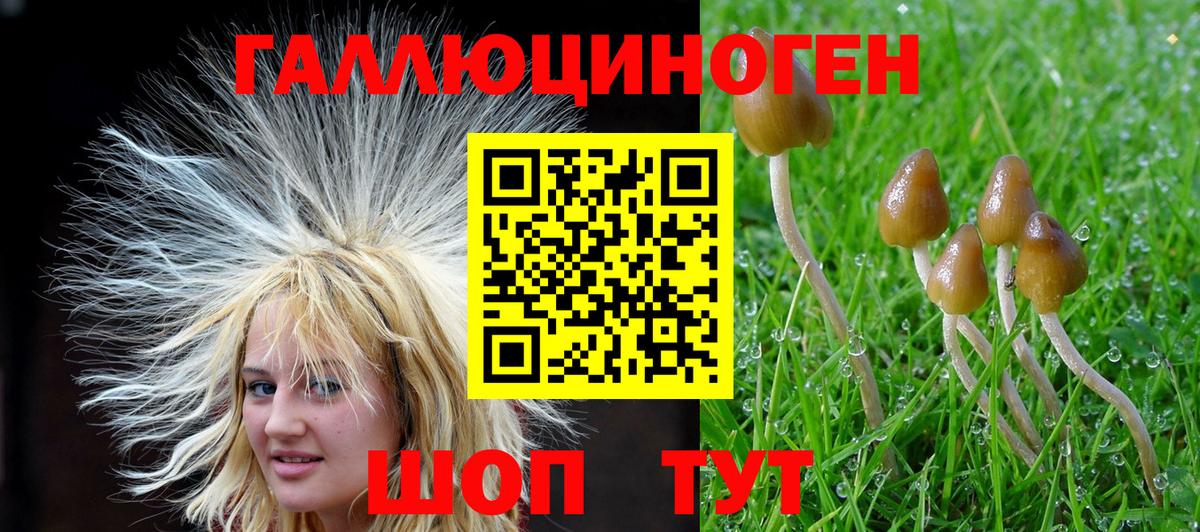 Галлюциногенные грибы мухоморы Куйбышев